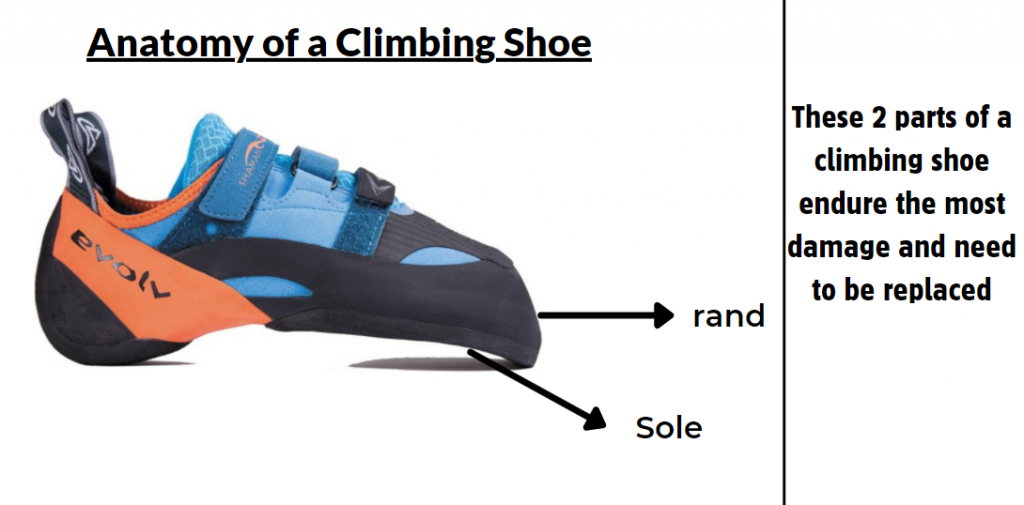 Anatomy of a climbing shoe