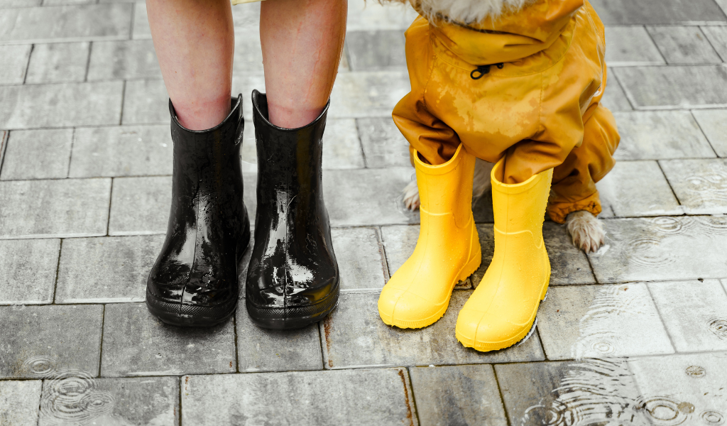Can You Wear Rain Boots All Year on Sunny Days